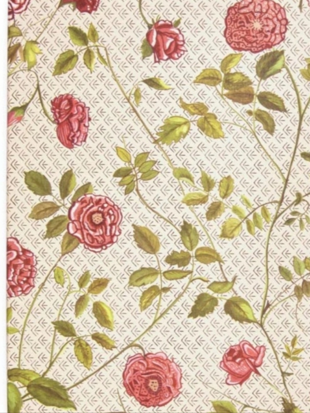 Levenger Emily Dickinson Rose-Print Notebook Set in Pink and Green - Picture 2 of 9